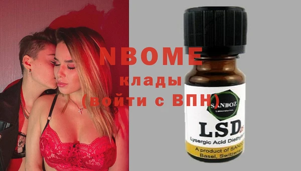 хмурый Мегион