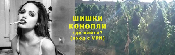 хмурый Мегион