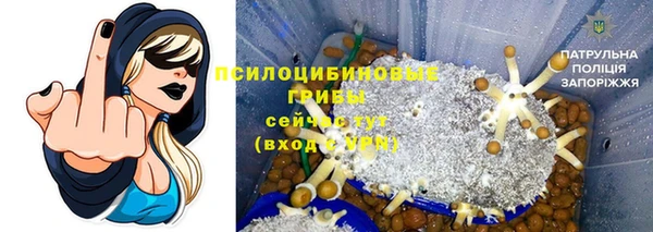 амф Михайловка