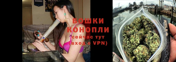 прущие грибы Беломорск