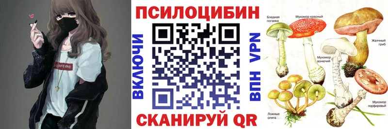 hydra вход  Навашино  Псилоцибиновые грибы MAGIC MUSHROOMS 